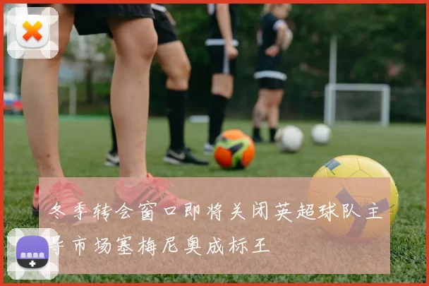 冬季转会窗口即将关闭英超球队主导市场塞梅尼奥成标王